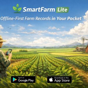 Standard Post with Image